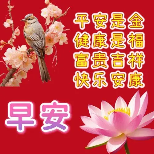 健康语句简短唯美（适合早晨祝福的早上短句）