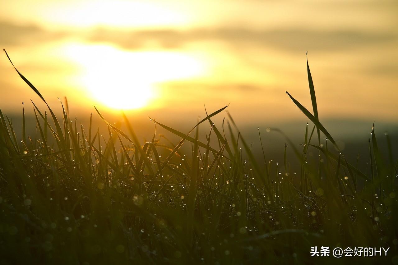 年纪越来越大的感慨说说（洞穿现实的句子）