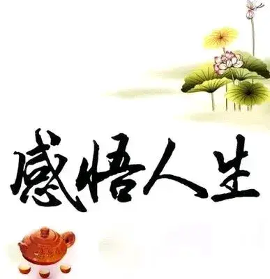 人生经典语录，高级优雅感悟！