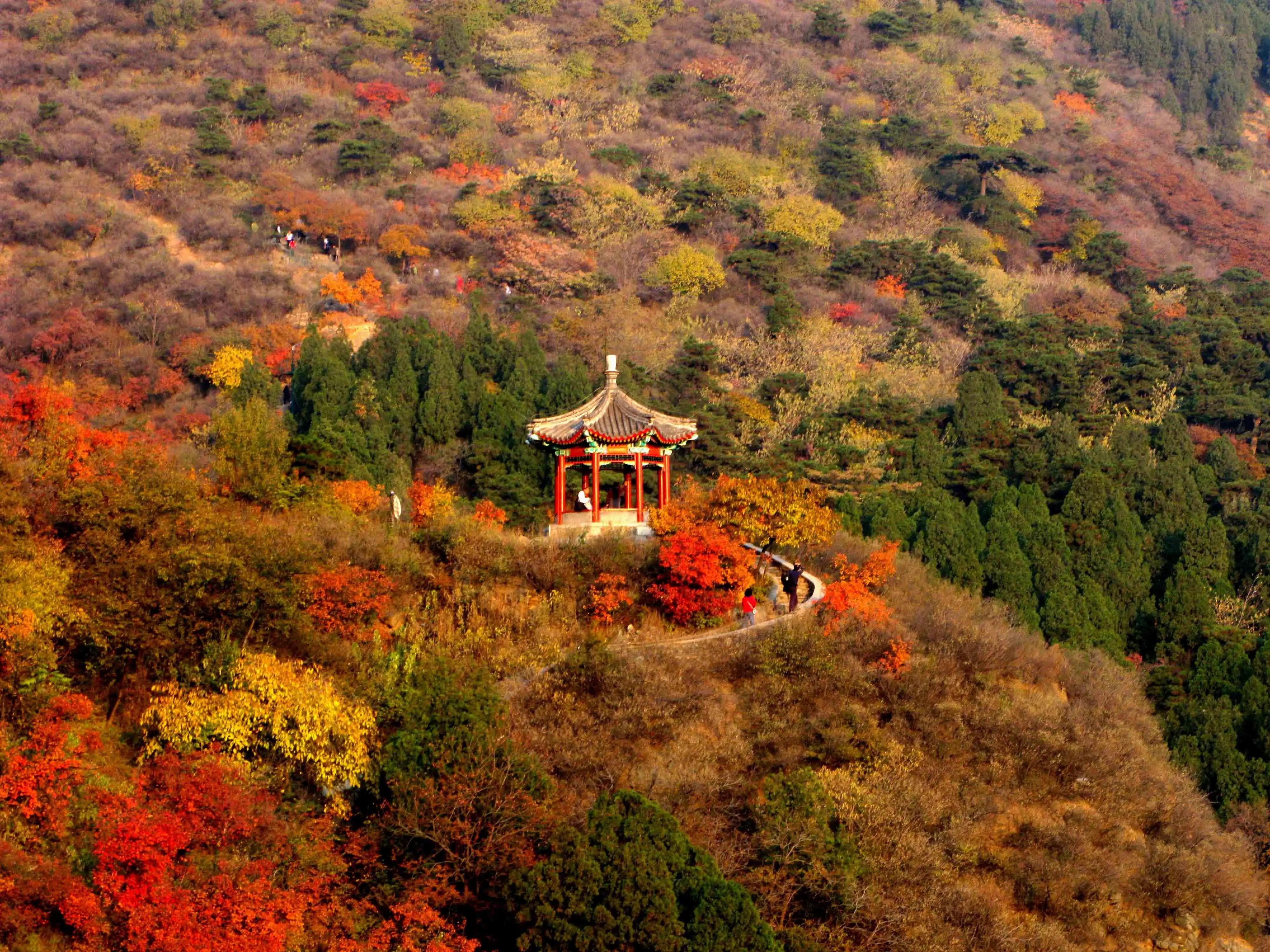 香山公园作文怎么写（层林尽染一一游北京香山）