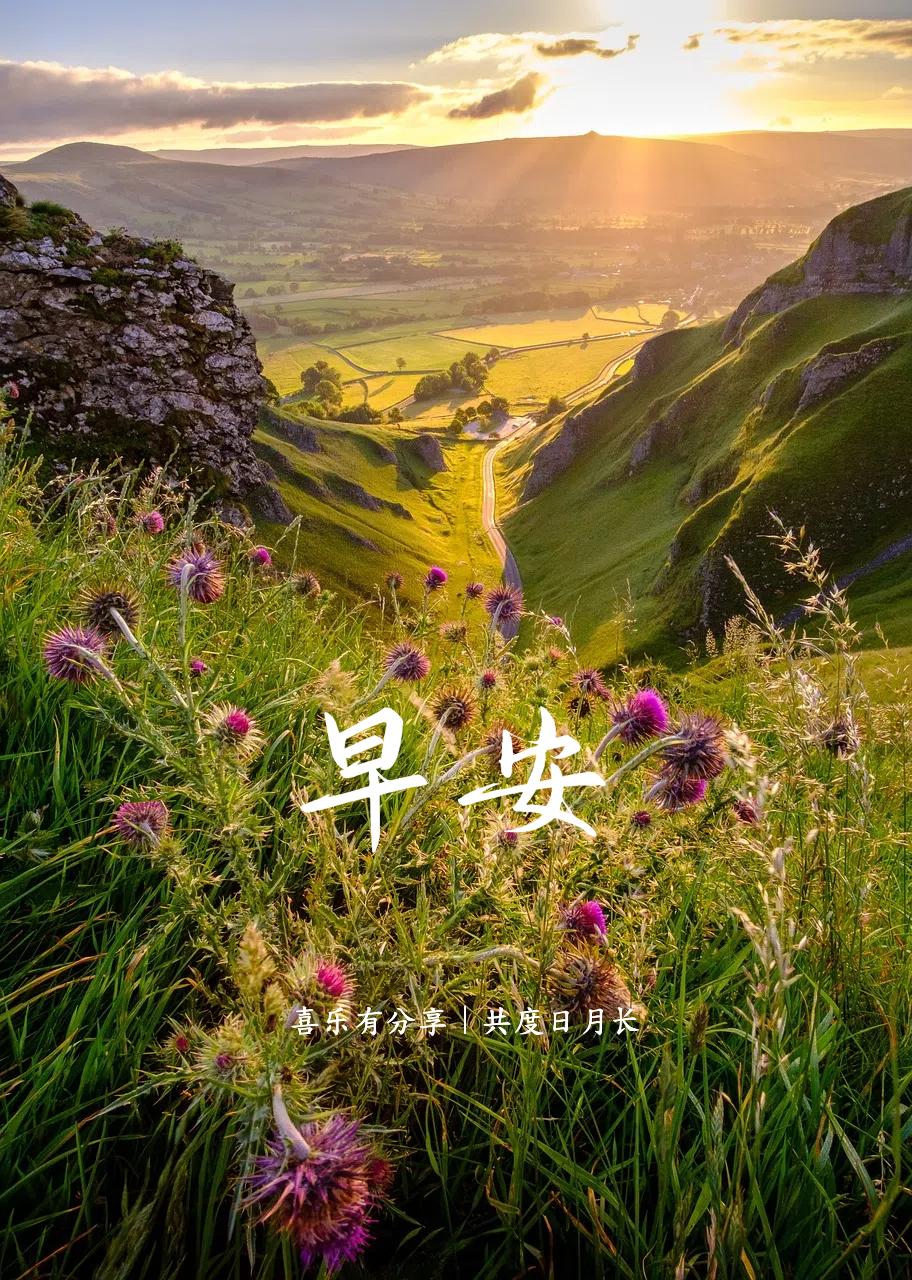 早安祝福和美图｜朝着太阳生长，做一个温暖的人，早安