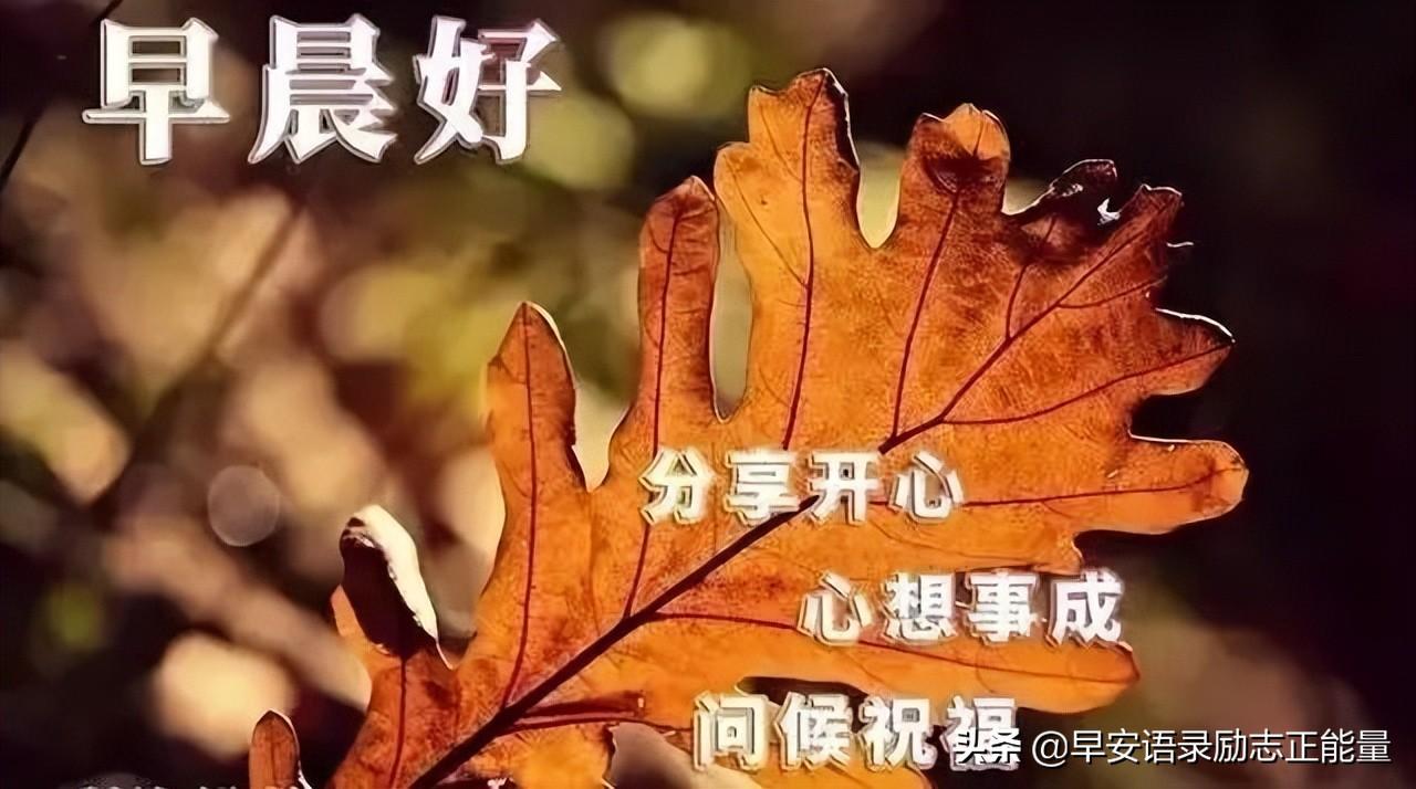 做微商的励志语录（早安心语微信满满正能量句子）